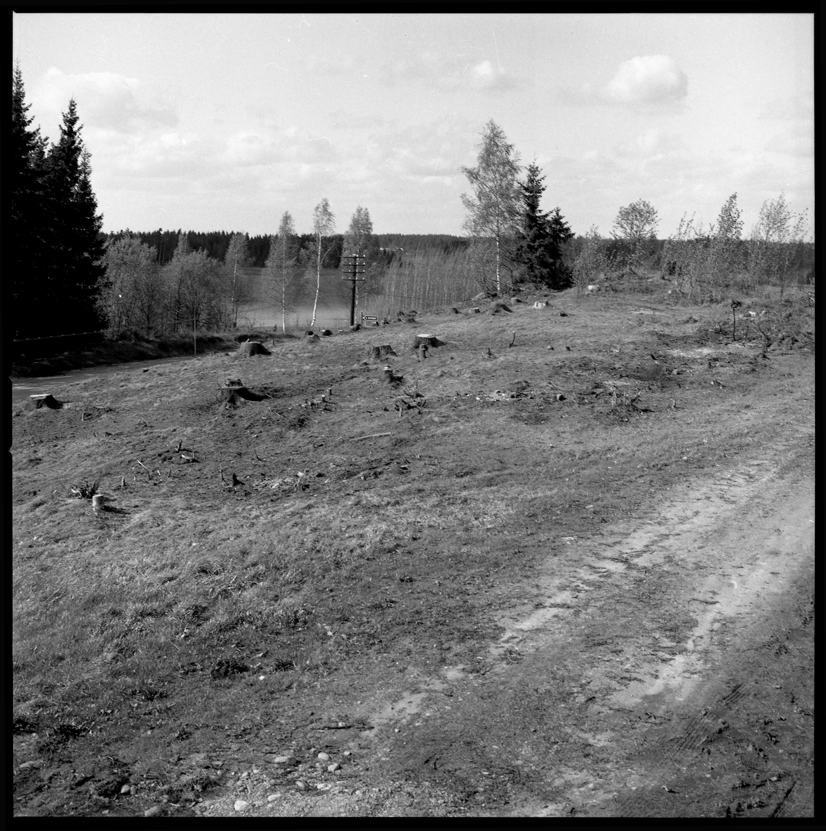 Romfartuna sn Äs RAÄ 119 Arkeologisk undersökning utförd av Vlm / Åke Hyenstrand och 
Ann Nilsson 1967
Översikt av gravfältet.