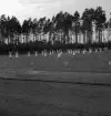Gymnastikuppvisningen, 25/5 1941. 
Flera gymnastiktrupper har uppvisning på Värendsvallen.