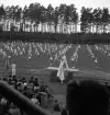 Gymnastikuppvisningen, 25/5 1941. 
Manliga gymnaster i olika åldrar har uppvisning på Värendsvallen. 
Fotot taget från läktaren.