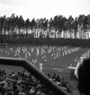 Gymnastikuppvisningen, 25/5 1941. 
Manliga gymnaster i olika åldrar har uppvisning på Värendsvallen. 
Fotot taget från läktaren.
