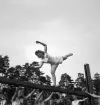 Gymnastikuppvisningen, 25/5 1941. 
Kvinnliga gymnaster har uppvisning på bom.