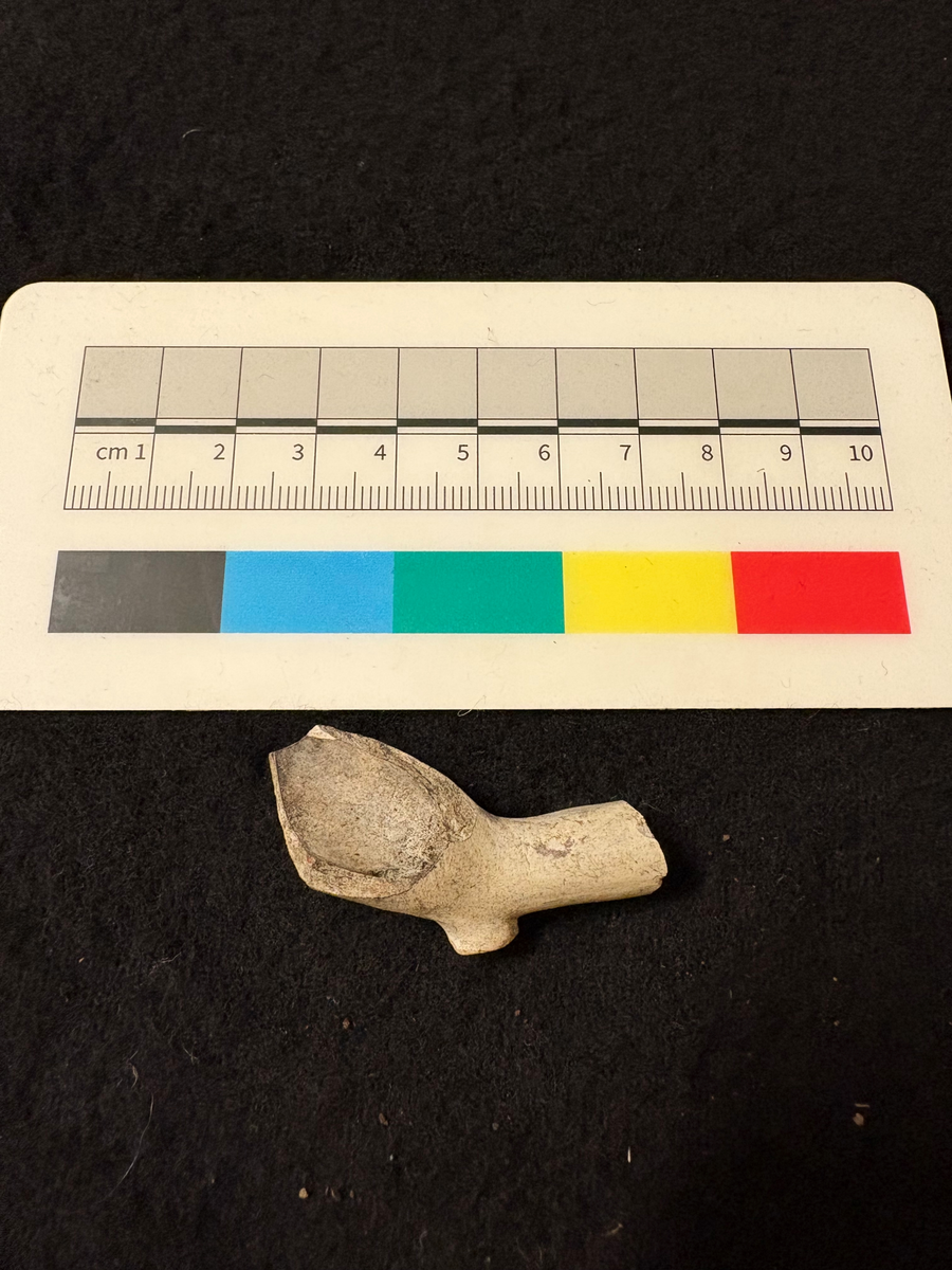 Ett fragment av huvud till kritpipa. Delar av skaftet är bevarat. Klacken är låg.