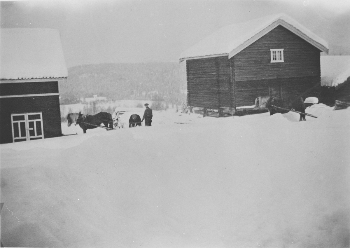 Steinar og Knut Eken under vedkjøring på Eikje, 1941. Hestene het "Rauen" og "Eva".