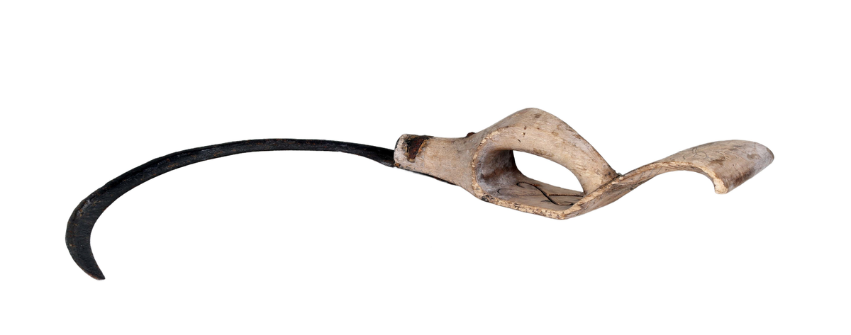 Böjt blad av järn fastnitat utanpå skaftet. Skaft av trä med bygelhandtag och böjd ändplatta. På skyddsskivans plana del två genombrutna med spetsarna mot varandra ställda hjärtan. På ändplattan under handtaget inskuret rund karvsnittsrosett. Andra sidan sträckdekor, ristning för karvsnittsrosett samt "ANO 1846 CAD".

Äldre historik:
En skära är ett verktyg som man skär av säd med. Den är halvcirkelformad med eggen på cirkelbågens insida. Radiellt utåt från cirkelbågens ena ände finns ett handtag, som kan vara av trä. Skäran hålls i den ena handen, och med den andra handen samlar man ihop ett knippe strån som man sedan skär av med skäran. (Wikipedia)