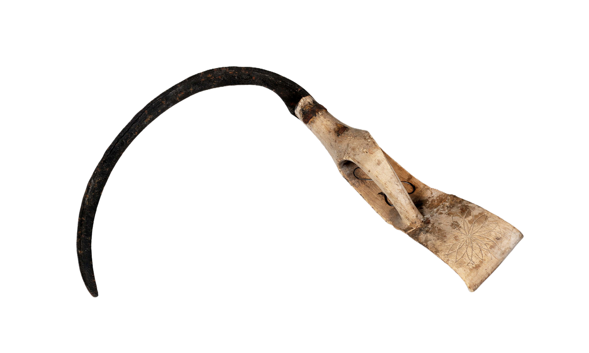 Böjt blad av järn fastnitat utanpå skaftet. Skaft av trä med bygelhandtag och böjd ändplatta. På skyddsskivans plana del två genombrutna med spetsarna mot varandra ställda hjärtan. På ändplattan under handtaget inskuret rund karvsnittsrosett. Andra sidan sträckdekor, ristning för karvsnittsrosett samt "ANO 1846 CAD".

Äldre historik:
En skära är ett verktyg som man skär av säd med. Den är halvcirkelformad med eggen på cirkelbågens insida. Radiellt utåt från cirkelbågens ena ände finns ett handtag, som kan vara av trä. Skäran hålls i den ena handen, och med den andra handen samlar man ihop ett knippe strån som man sedan skär av med skäran. (Wikipedia)