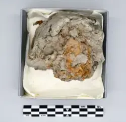 Norsa, Köping stad (RAÄ Köping 131:1) - arkeologisk undersökning år 1964