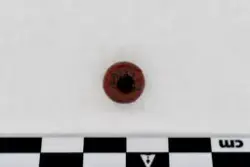 Norsa, Köping stad (RAÄ Köping 131:1) - arkeologisk undersökning år 1966