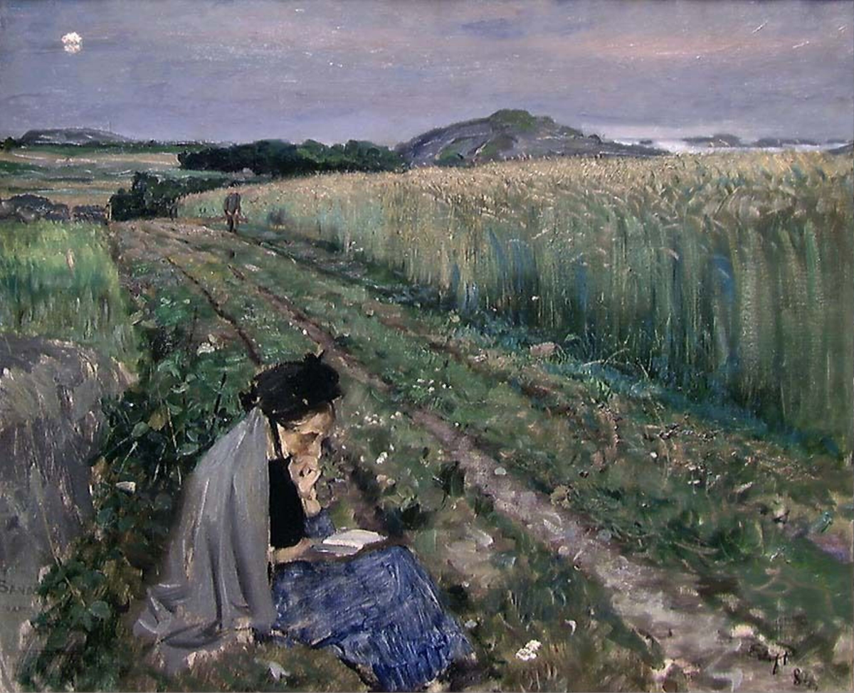 Sommerkveld, Sandø [Maleri]