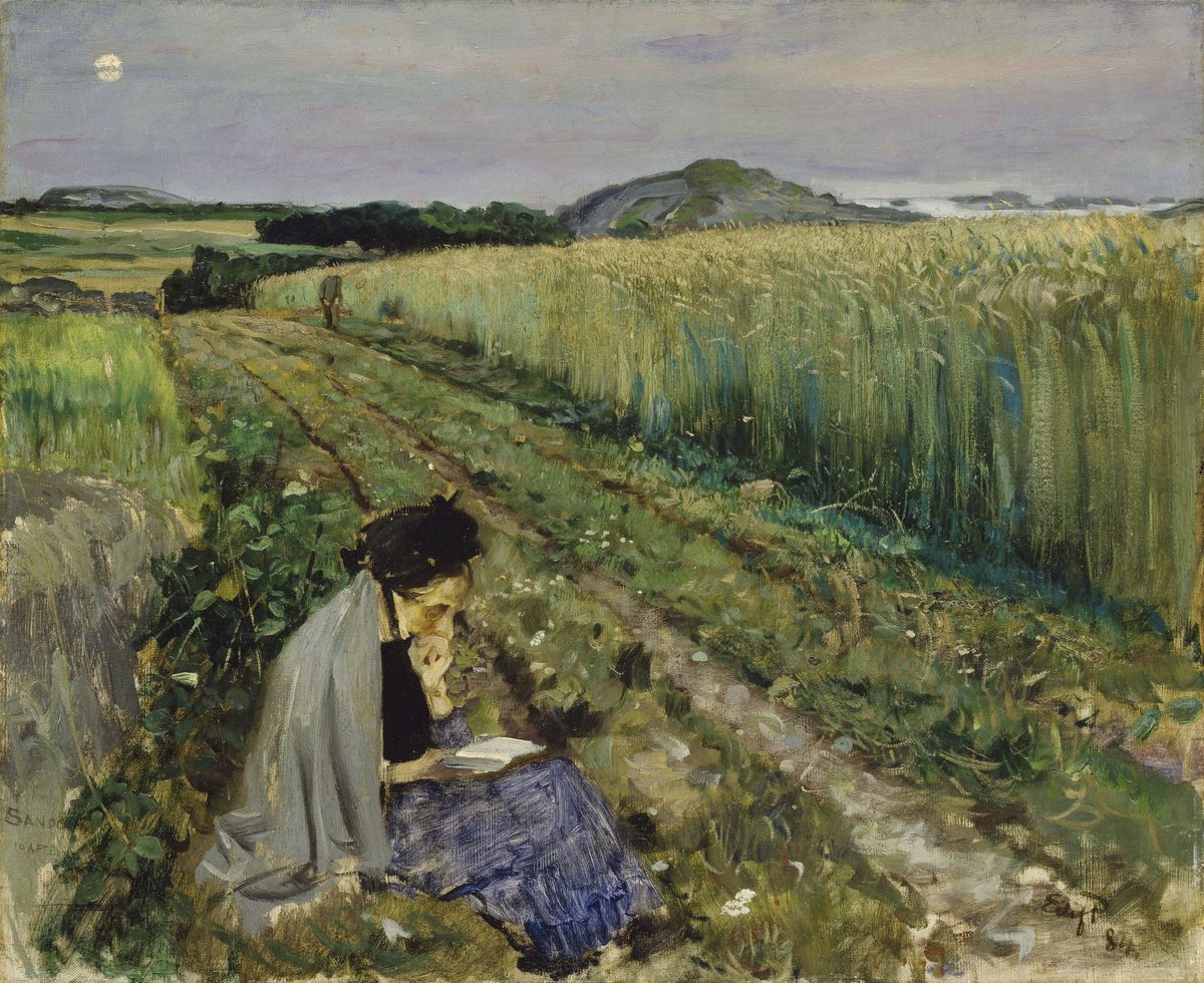 Sommerkveld, Sandø [Maleri]