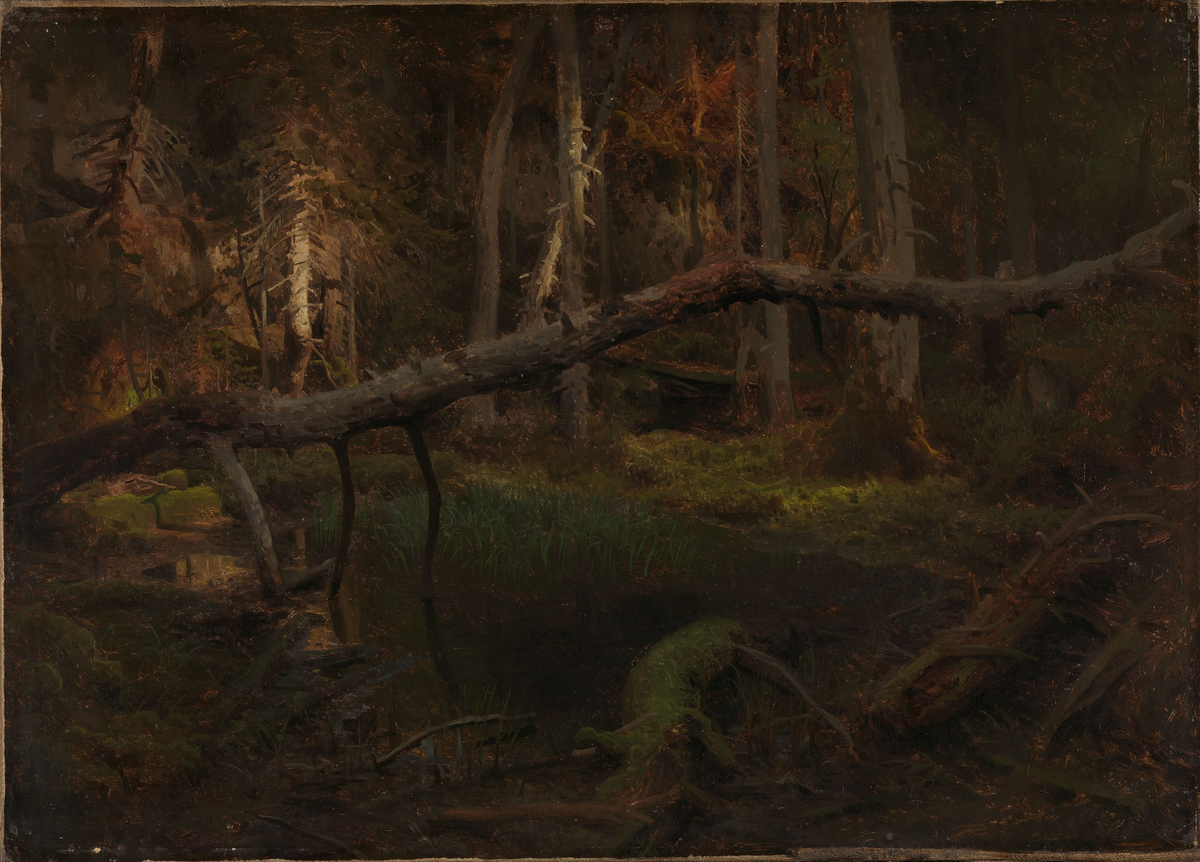 Skoginteriør [Maleri]