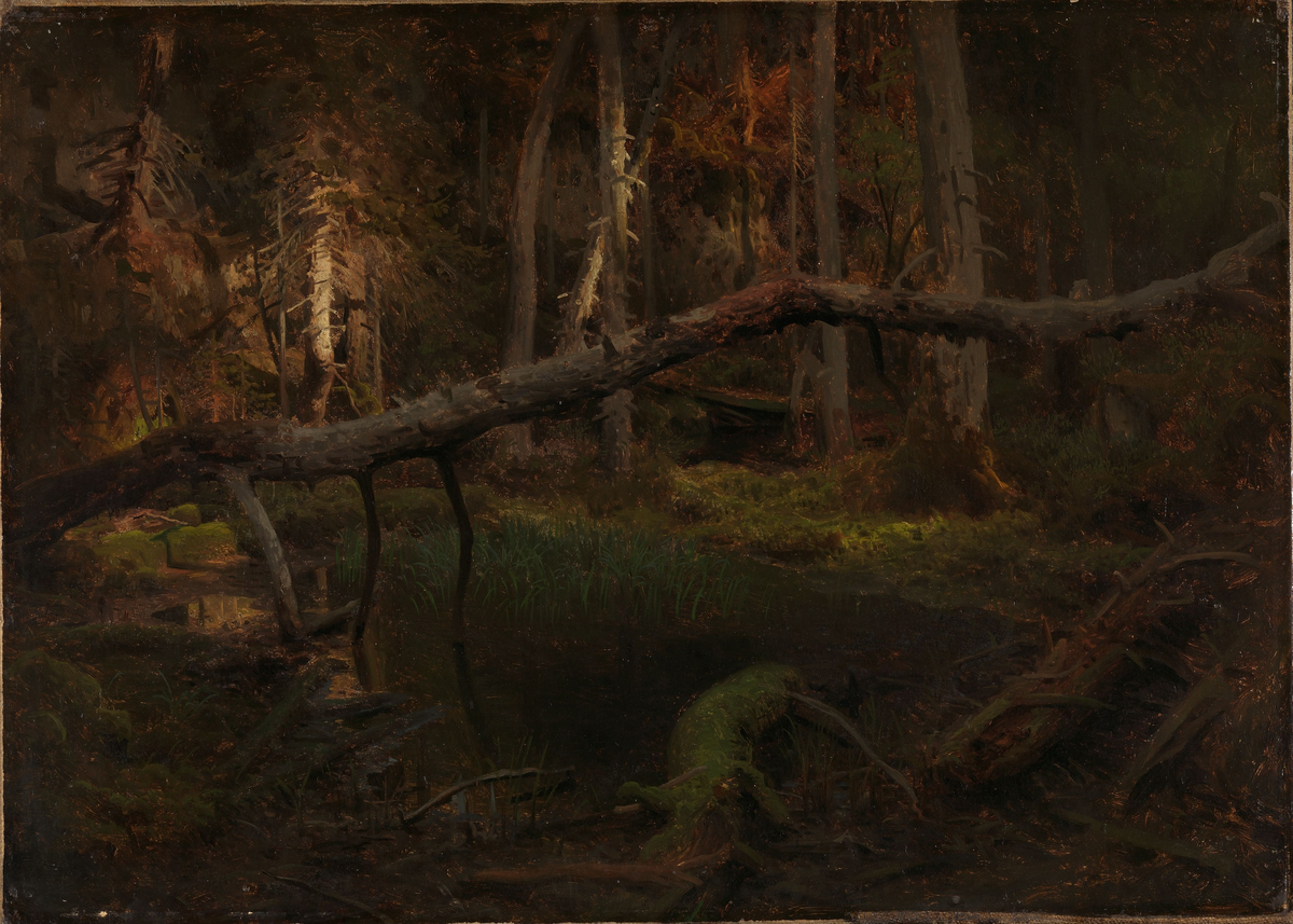 Skoginteriør [Maleri]