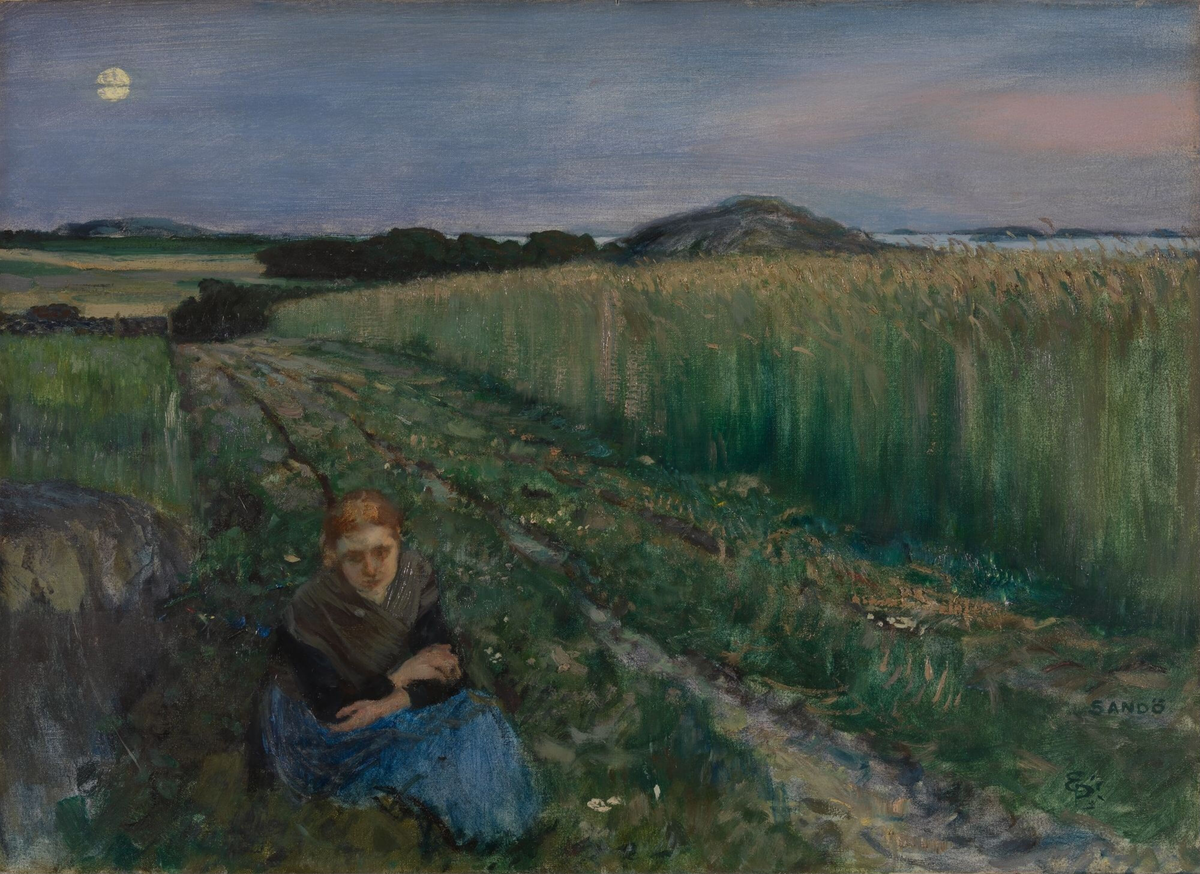 Sommerkveld, Sandø [Maleri]