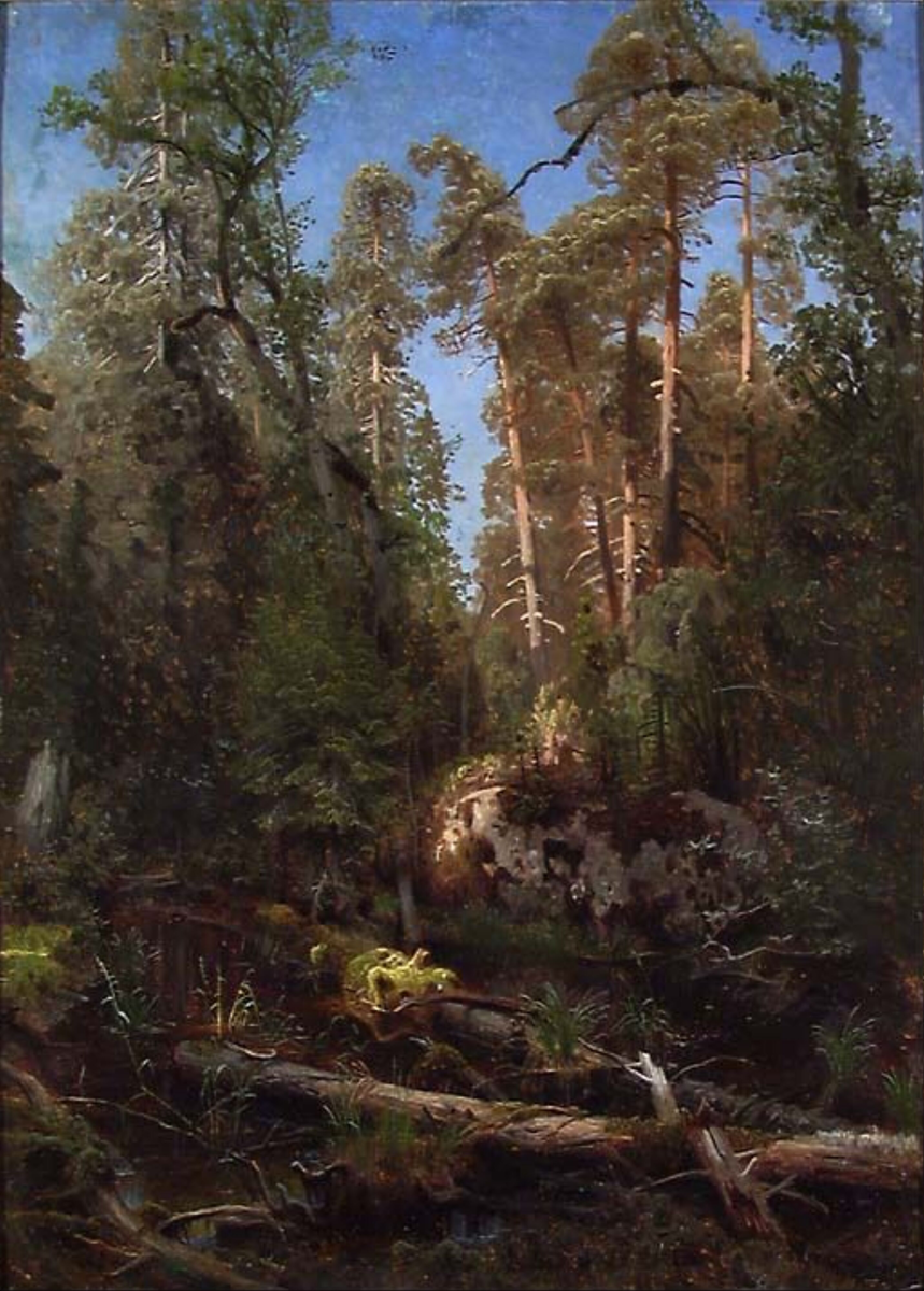 Skogstudie [Maleri]