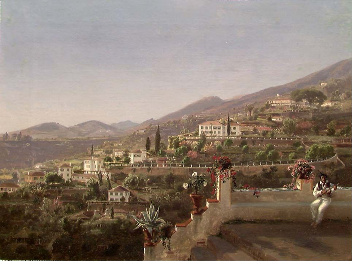 Fra Funchal på Madeira [Maleri]