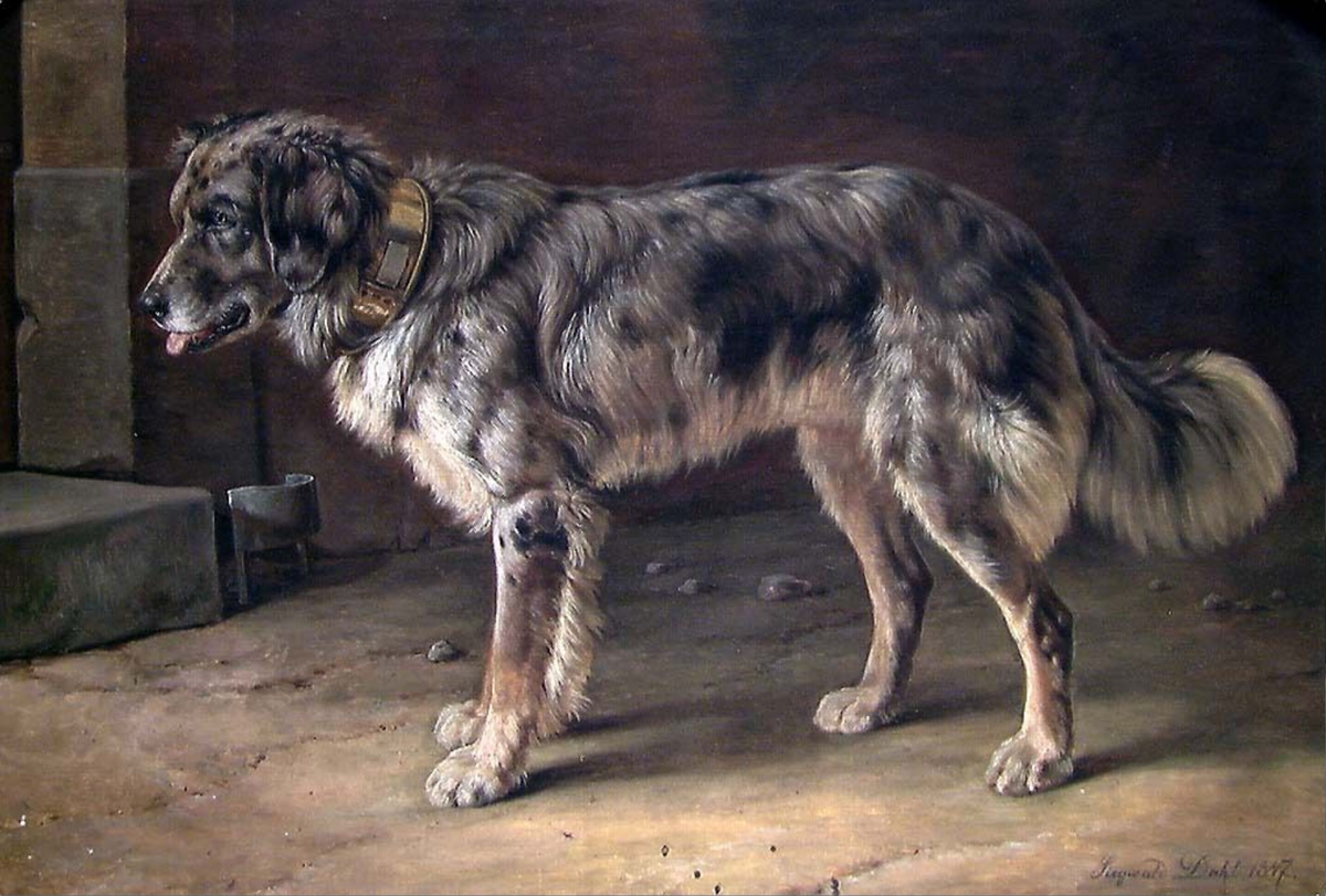 En hund [Maleri]