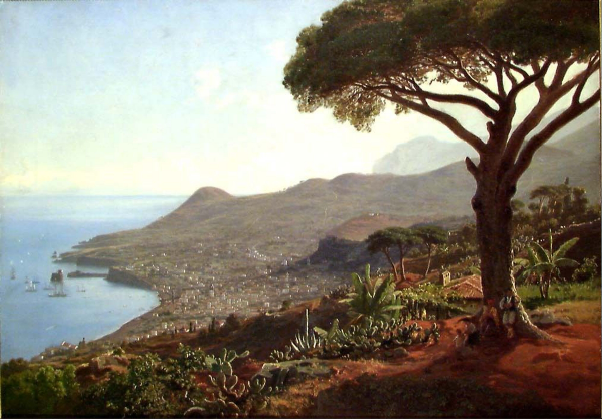 Utsikt over Funchal på Madeira [Maleri]