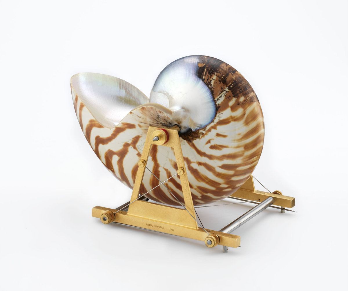 Bæreinstrument for Nautilus Belavensis [Brosje]