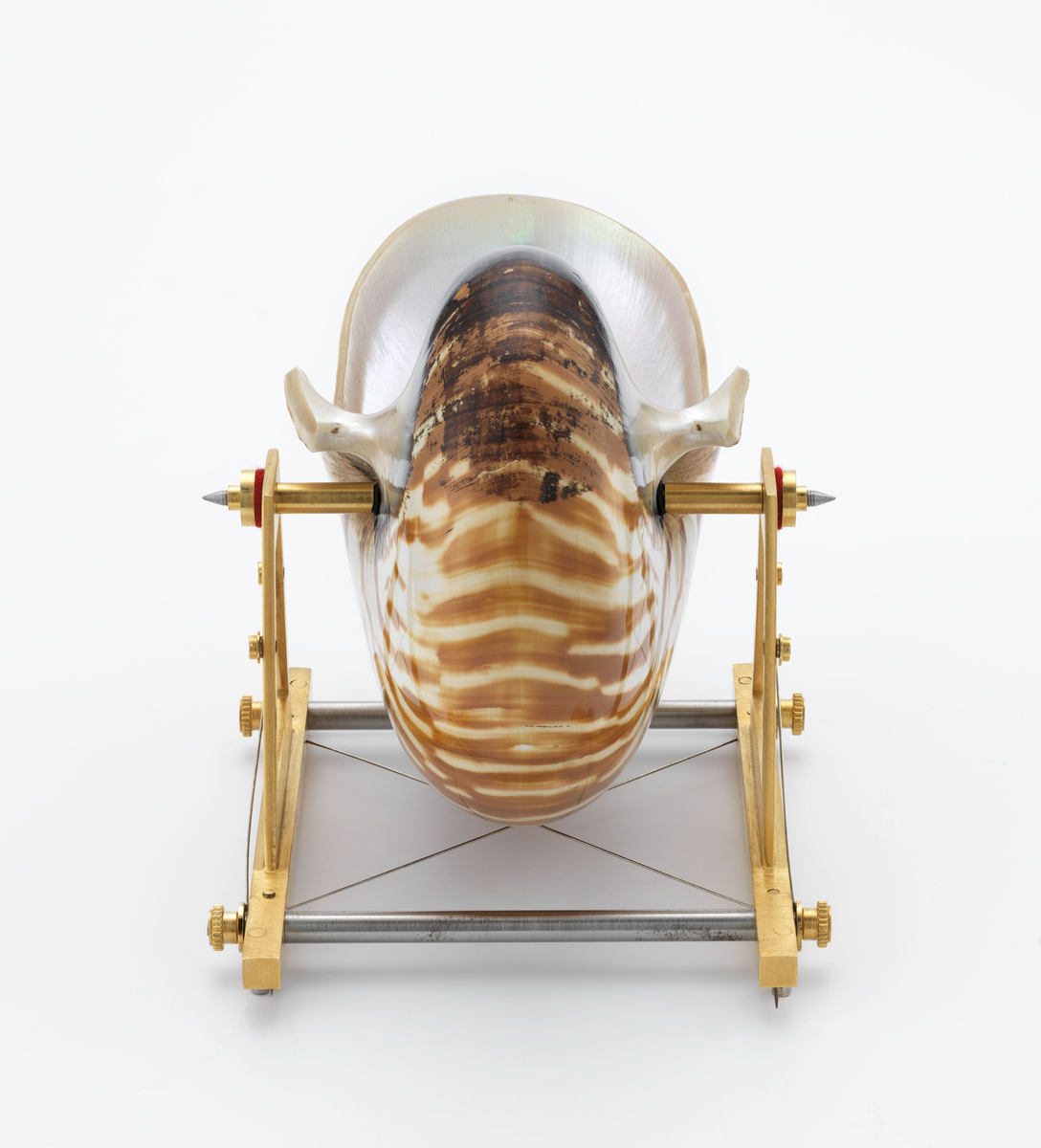 Bæreinstrument for Nautilus Belavensis [Brosje]