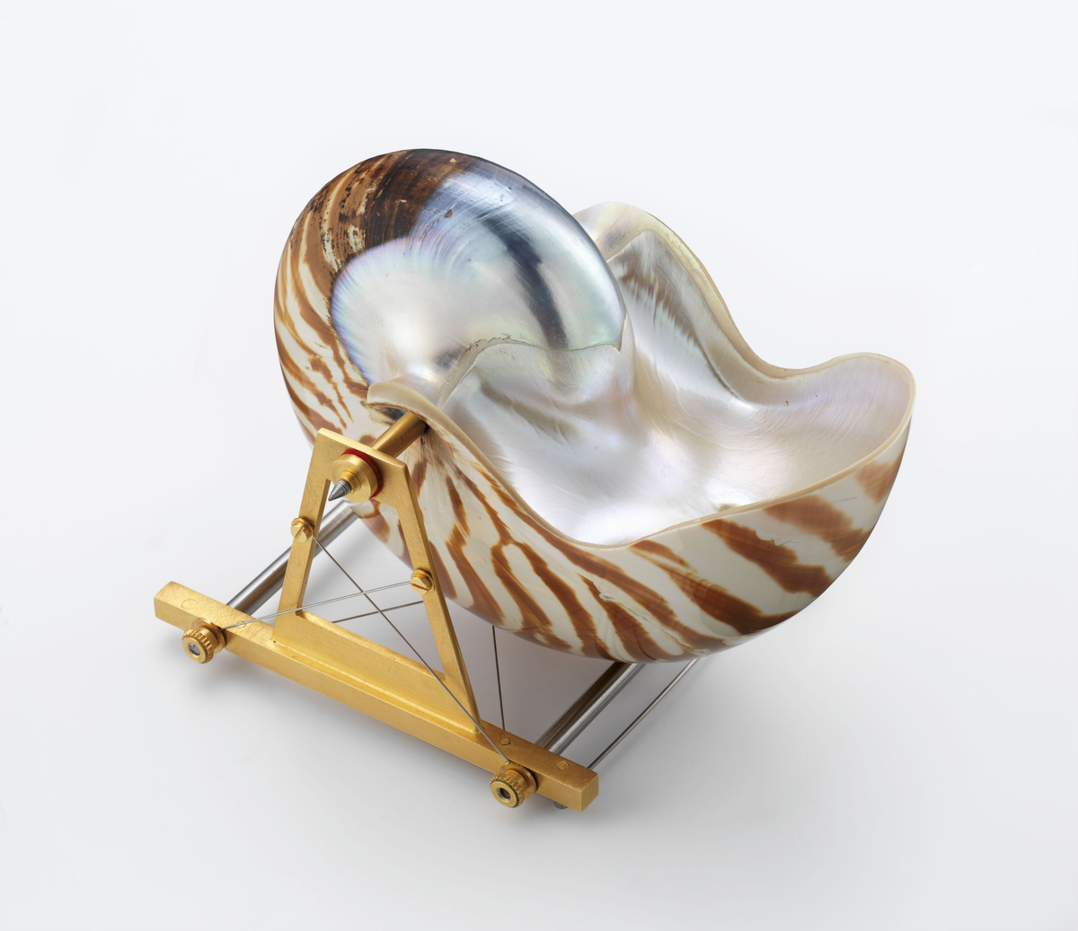 Bæreinstrument for Nautilus Belavensis [Brosje]