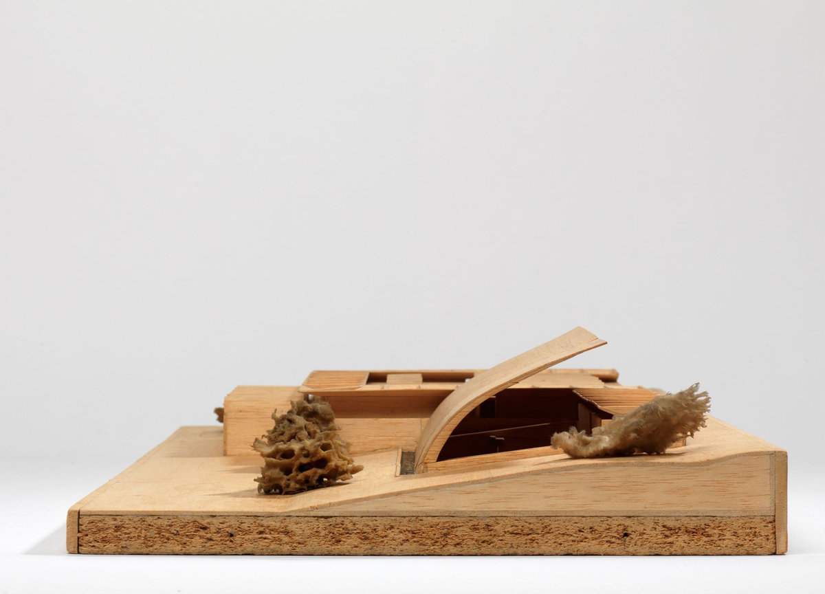 Bøler samfunnshus [Studiemodell]