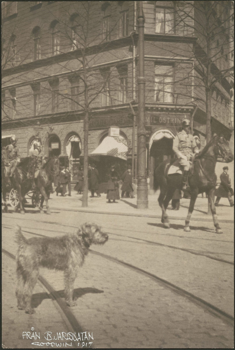 Från B. Jarlsgatan [Fotografi]