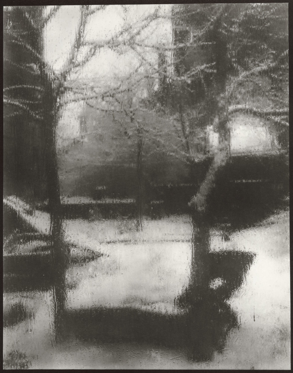 View from My Studio Window [Fotografi] by Sudek, Josef