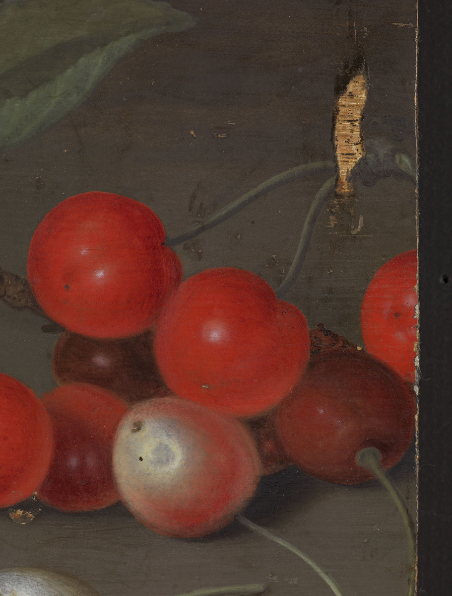 Stilleben med frukt og skjell [Maleri]