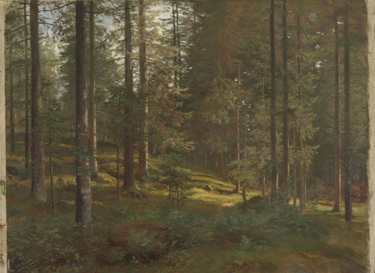 Skogsinteriør [Maleri]