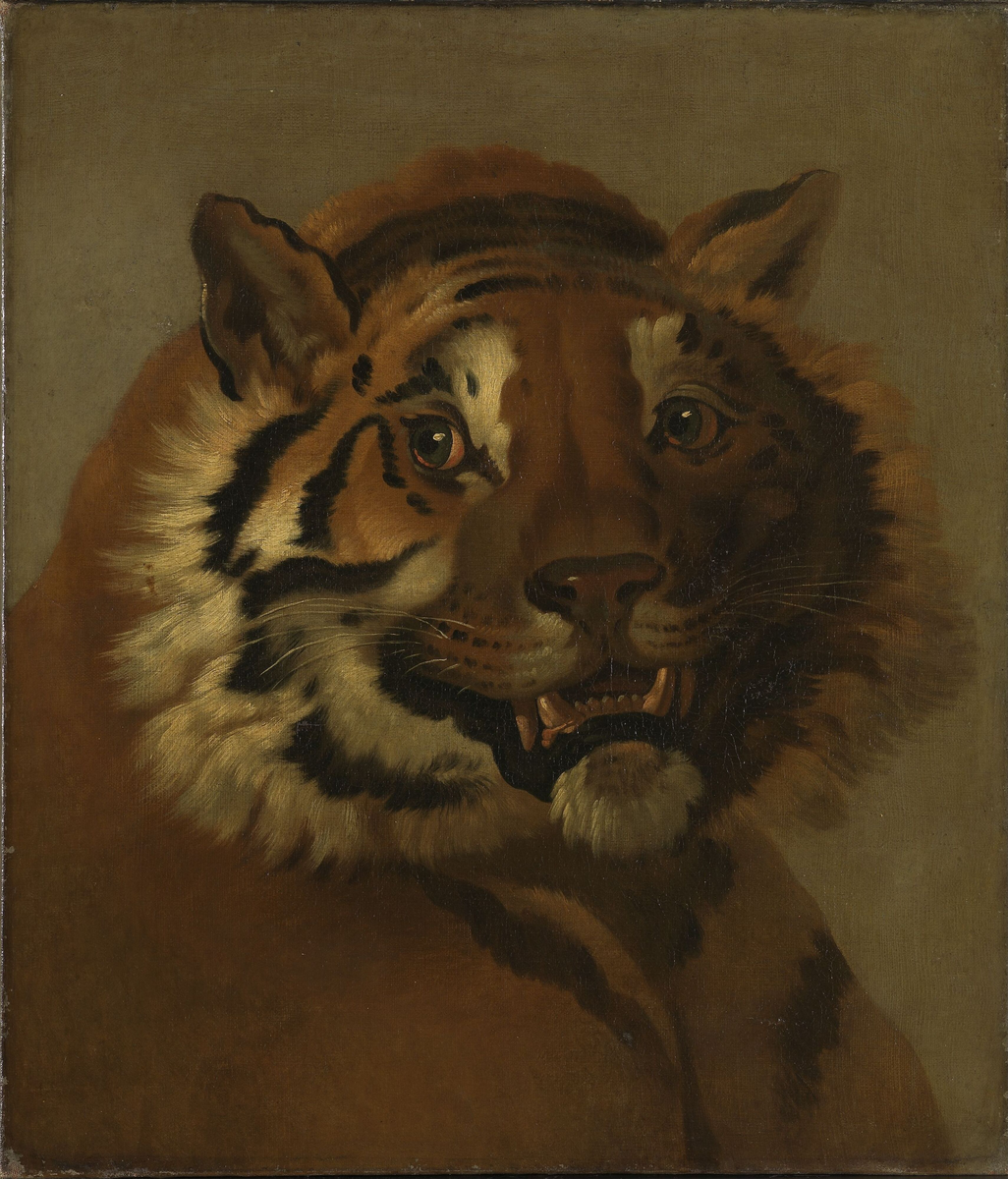 Tigerhode [Maleri]