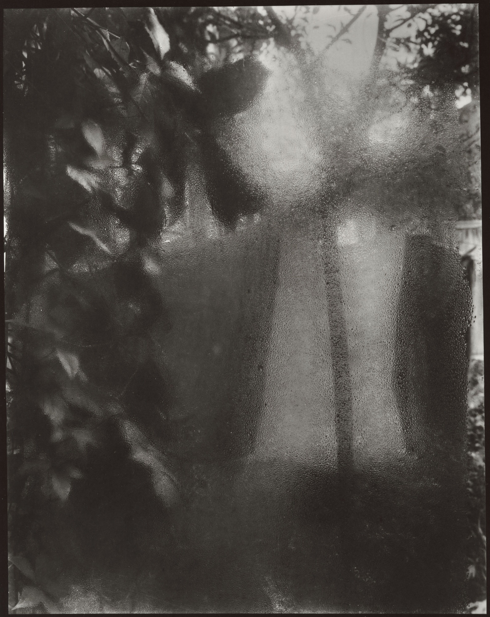 My Studio Window [Fotografi]