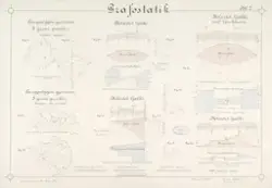 Grafostatikk [Studentarbeid]