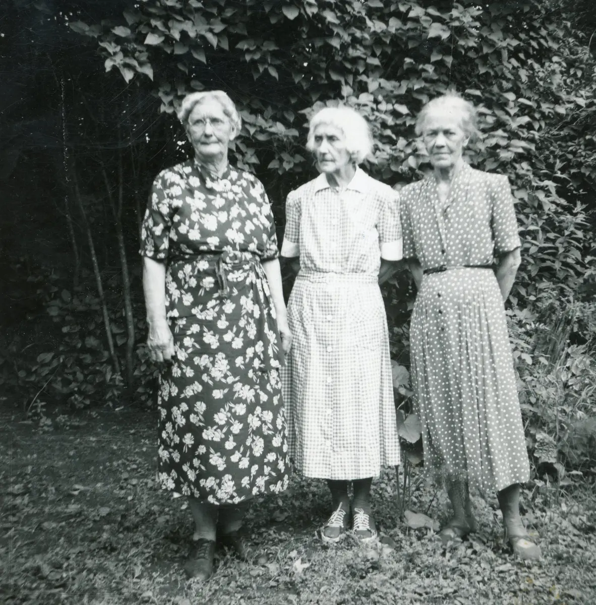 Familiebilder