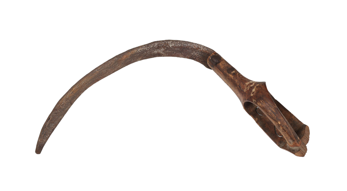 Böjt blad av järn som är fastnitat på skaftet. Skaft av rödmålat trä med bygelhandtag, ändplattan saknas. På andra sidan två genombrutna hjärtan, streckdekor samt på resterande ändplattan "ANO 1845".

Äldre historik:
En skära är ett verktyg som man skär av säd med. Den är halvcirkelformad med eggen på cirkelbågens insida. Radiellt utåt från cirkelbågens ena ände finns ett handtag, som kan vara av trä. Skäran hålls i den ena handen, och med den andra handen samlar man ihop ett knippe strån som man sedan skär av med skäran. (Wikipedia)