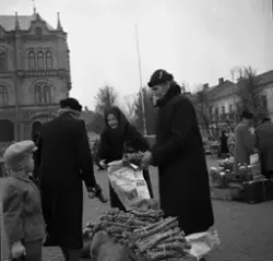 Folk och företeelser i Varberg - fotografier av Eric "Bossa-Eric" Johansson