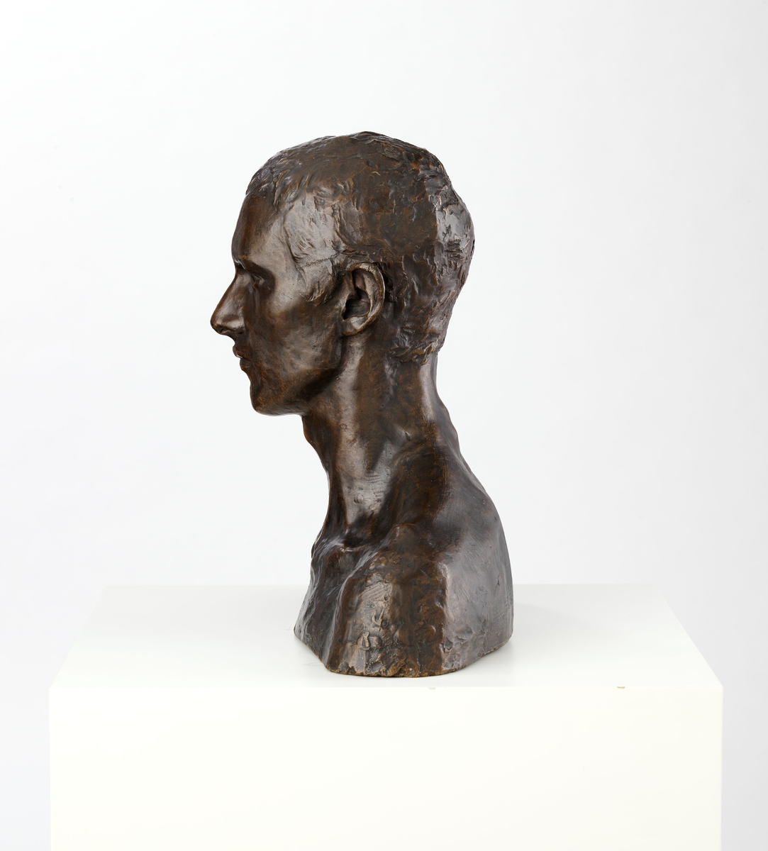 Maleren og billedhuggeren Emanuel Vigeland [Byste]