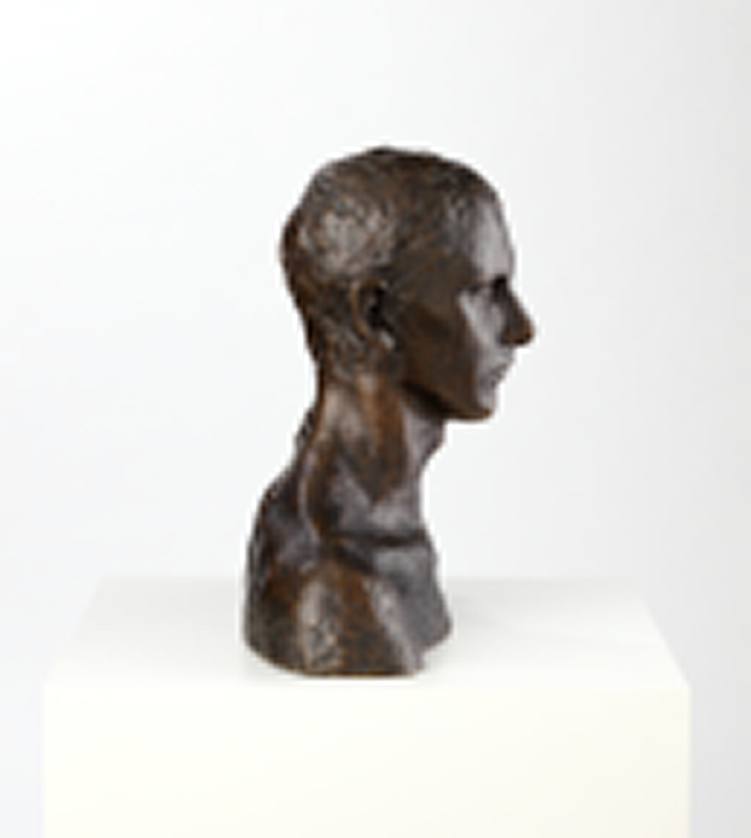 Maleren og billedhuggeren Emanuel Vigeland [Byste]
