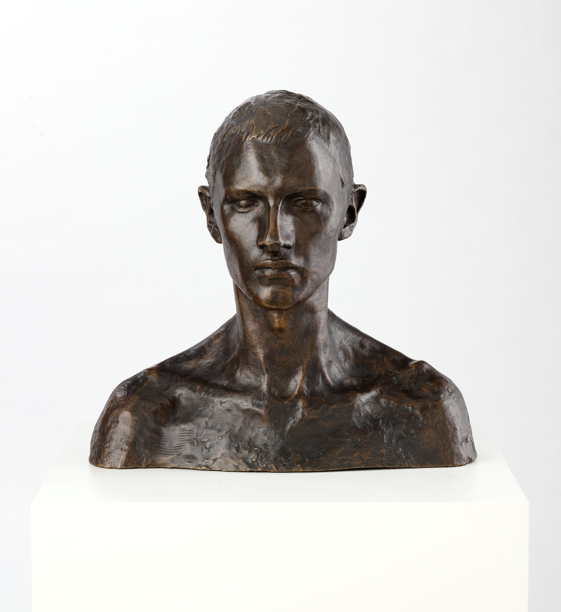 Maleren og billedhuggeren Emanuel Vigeland [Byste]