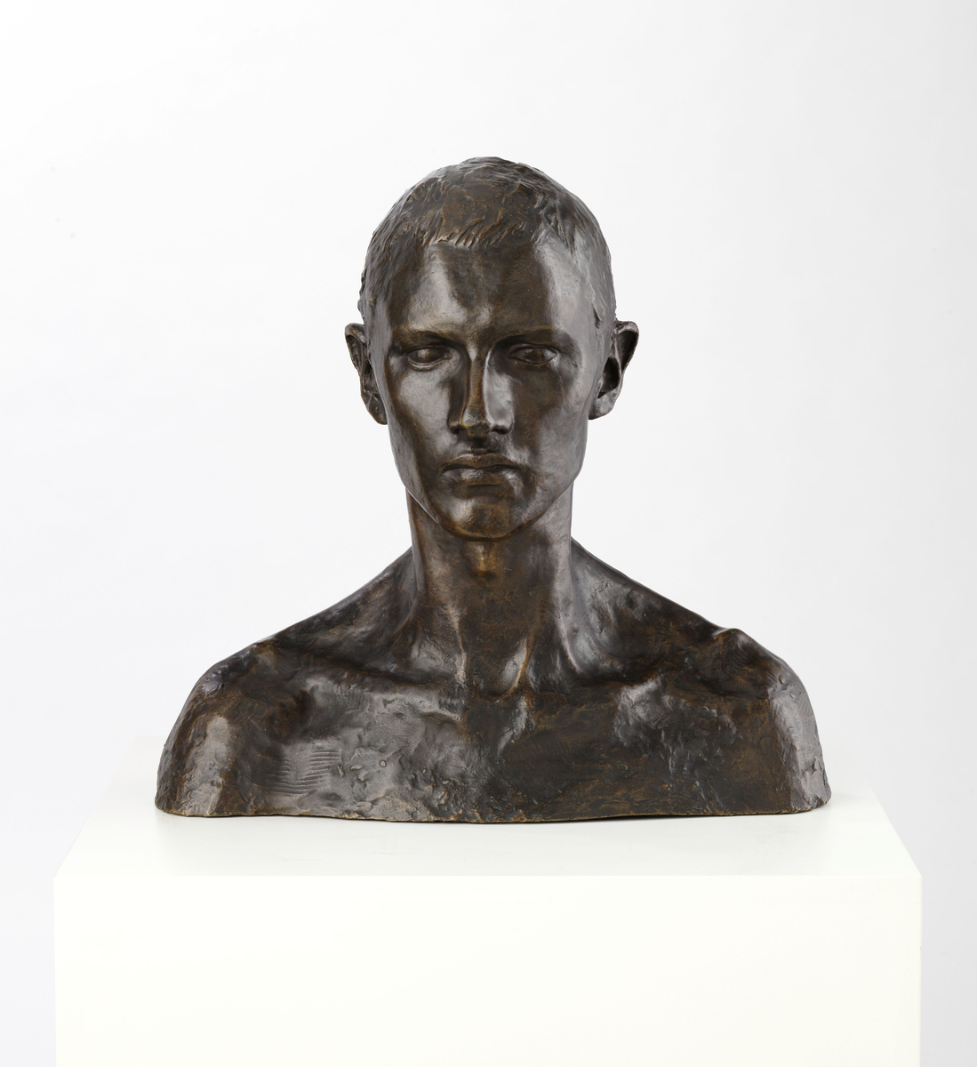 Maleren og billedhuggeren Emanuel Vigeland [Byste]