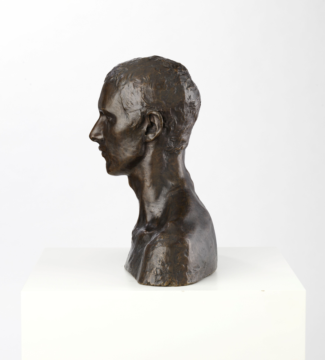 Maleren og billedhuggeren Emanuel Vigeland [Byste]