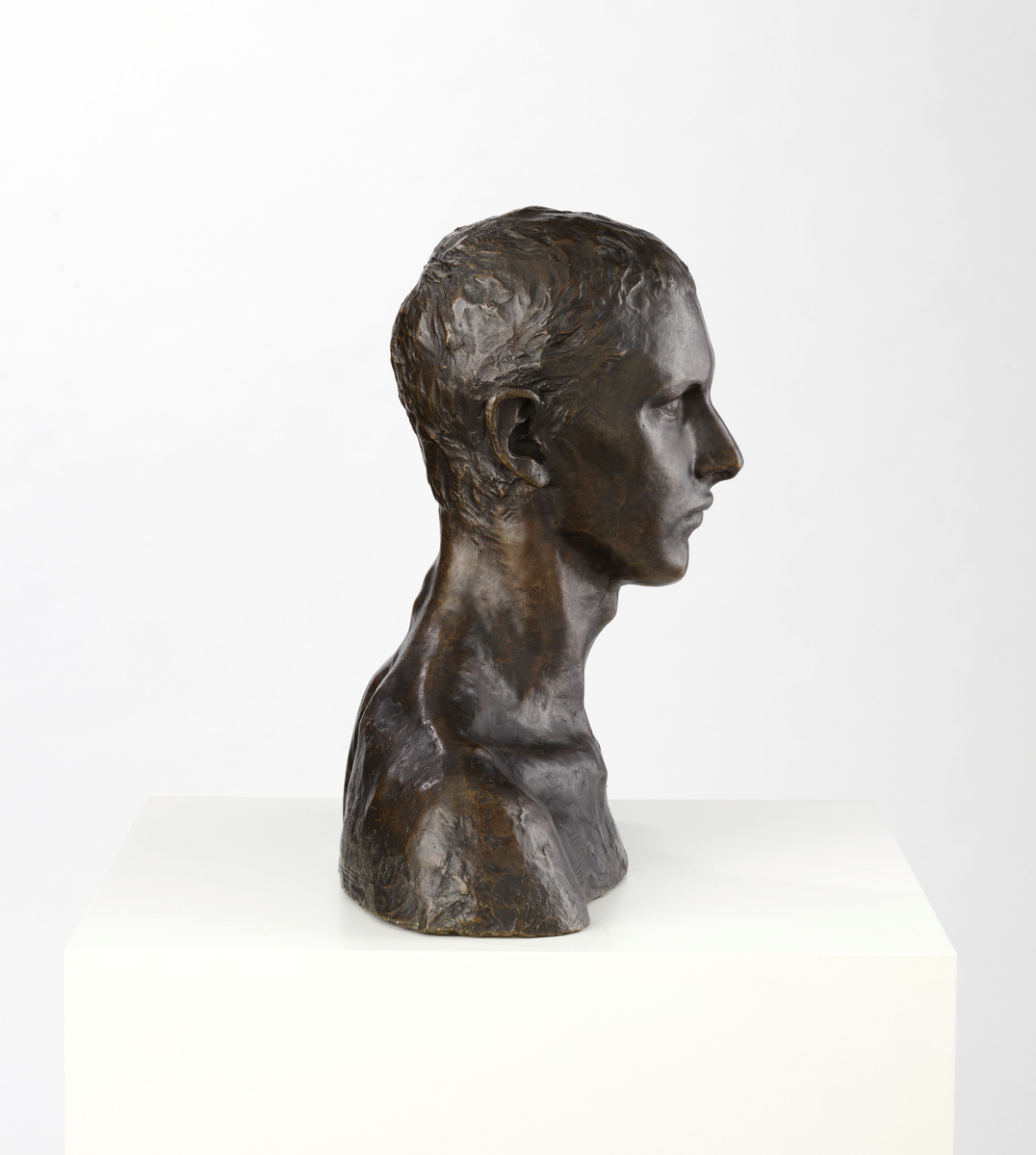 Maleren og billedhuggeren Emanuel Vigeland [Byste]