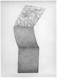 Skogbunnform [Tegning]