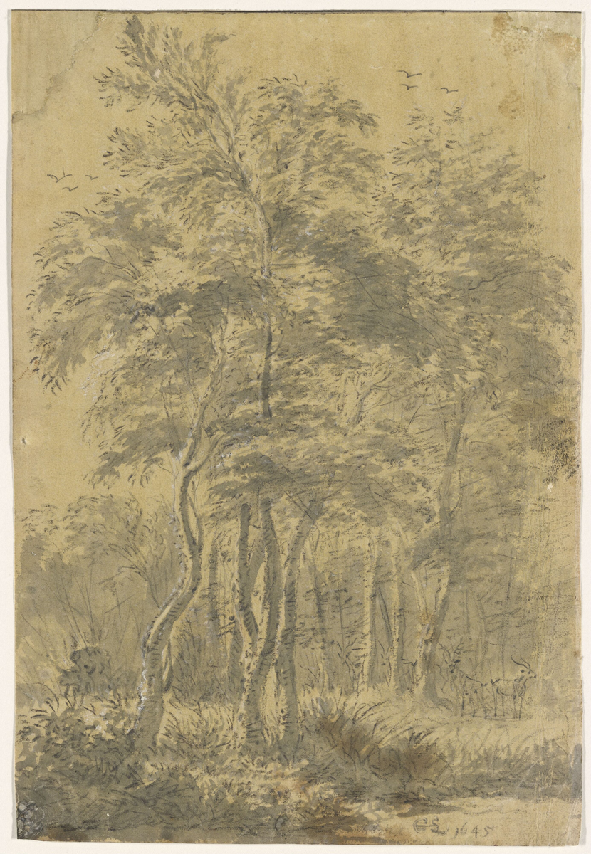 Løvskog [Tegning]