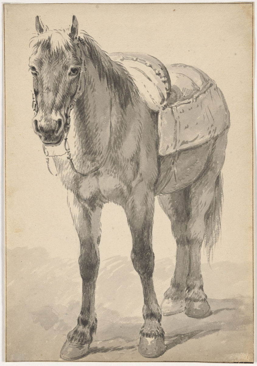 Stående hest [Tegning]