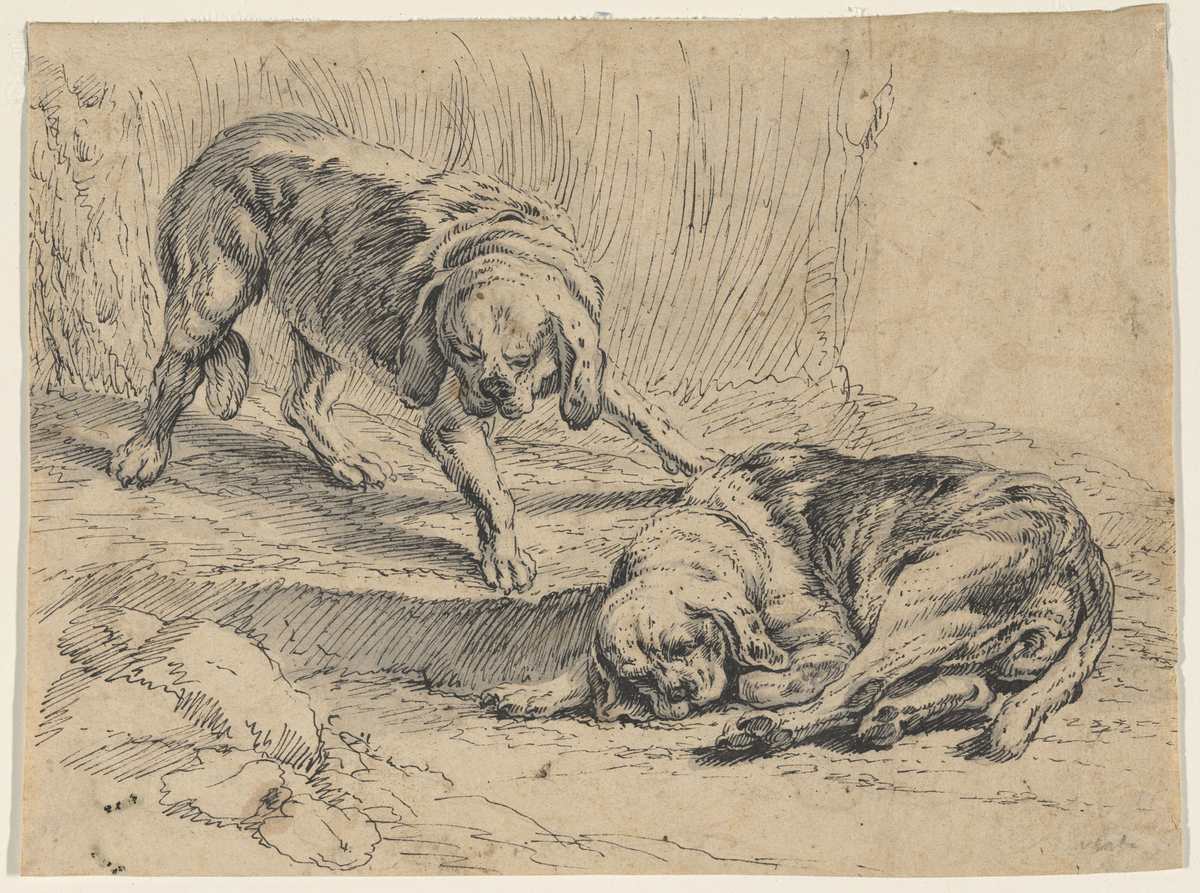 To hunder [Tegning]