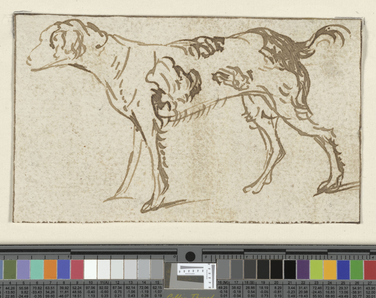 Stående hund [Tegning]