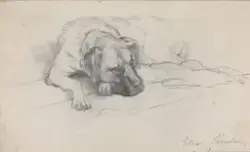 Liggende hund [Tegning]