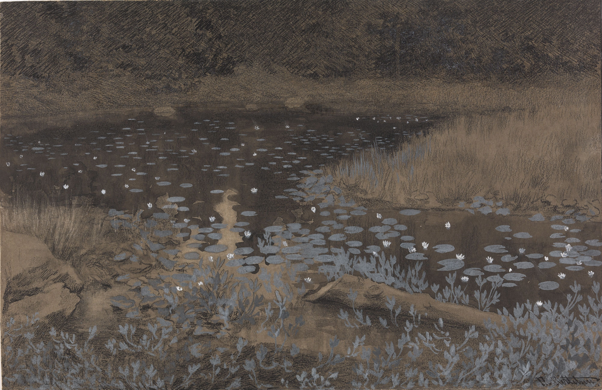 Skogstjern [Tegning]