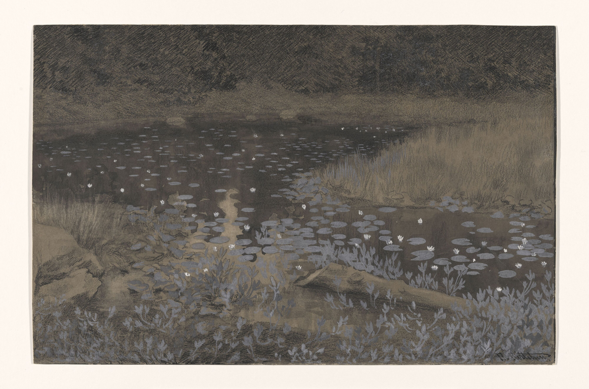 Skogstjern [Tegning]