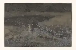 Skogstjern [Tegning]