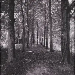 Villa Wannsee - Melancholy Grandeur # 40 [Fotografi]